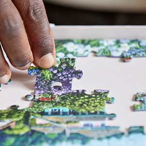 Relish Puzzles for Alzheimer's