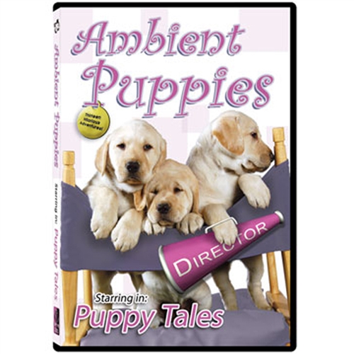 Ambient Puppies DVD | DVDs for Dementia | Alzstore